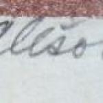 Radomir Kolar - Steeplechase Radomir Kolar - Steeplechase