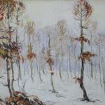 Grove in wintertime Grove in wintertime