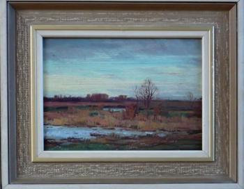 Sabava - Marsh Sabava - Marsh