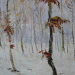 Grove in wintertime Grove in wintertime