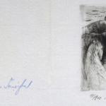 Marie Michaela Sechtlova - Five graphics PF Marie Michaela Sechtlova - Five graphics PF