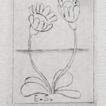 Olga Pavalova - Cat, Bird, Flowers  Olga Pavalova - Cat, Bird, Flowers