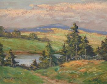 A landscape with a forest and a small pond A landscape with a forest and a small pond