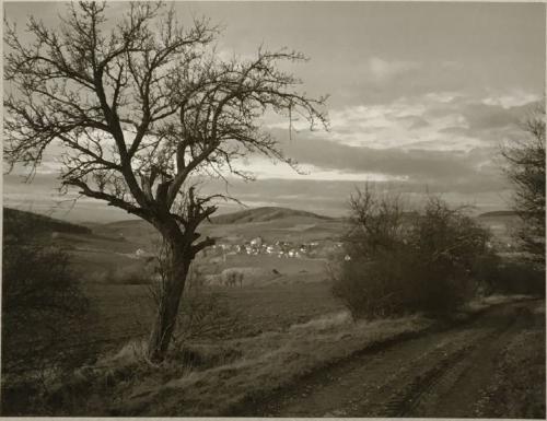Jan Reich (1942 - 2009), Road to Počepice, 1983 Jan Reich (1942 - 2009), Road to Počepice, 1983