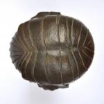 Bust - bronze - Demetre Chiparus - 1925