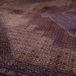 Iran Carpet - cotton, wool - 1978