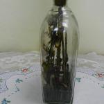 Glass Bottle - glass - 1850