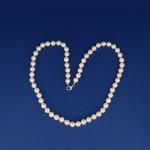 Pearl Necklace - gold, pearl - 2020