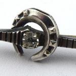 Brooch with horseshoe, white and yellow metal