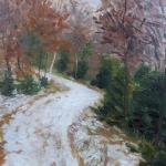 B. Mller - Winter journey through the forest