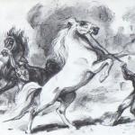 Emil Kotrba - Taming of the Wild Horse