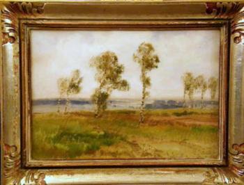 Augustin Nezval - Birches in the fields