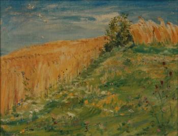 A summer landscape with a rye field
