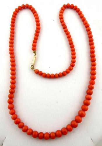 Necklace of sea coral with golden clasp