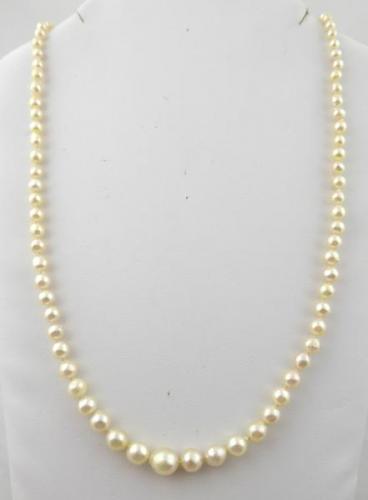 Necklace of sea pearls with a diameter of 3 to 7 